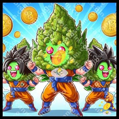 Gathering of ganyas at the beach