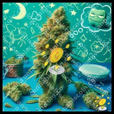 Macoña in the Dream Cloud