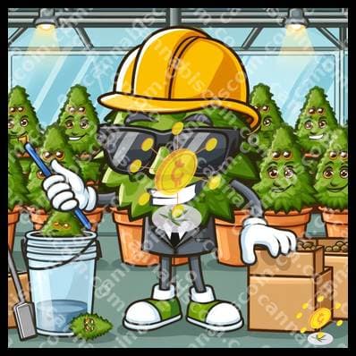 Ganya in the electric harvest
