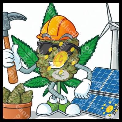 Yerba in the energy journey