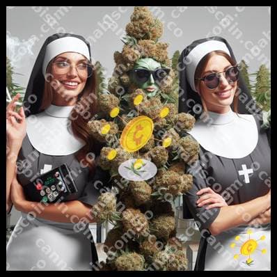 Elixir of Creativity and Cannabis