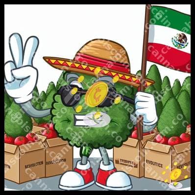Little ganja in her cultural journey
