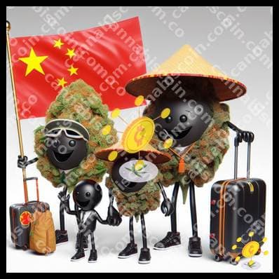 Herb on the Chinese Journey