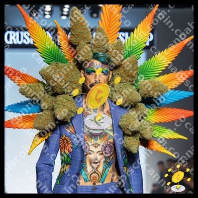 Bud on the runway of floral